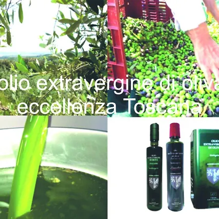 Etrusca Shabby Chic - Tuscany - Apartment Venturina Terme